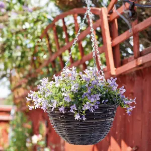 Smart Garden Pansy artificial Lilac & green Round Plastic Hanging basket, 25cm