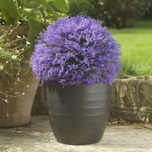 Smart Garden Hazepurple Artificial topiary Ball