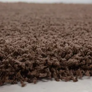 Abaseen 120x170 cm Brown Shaggy Rug - Soft Touch Thick Pile Modern Rugs - Washable Area Rugs for Home and Office