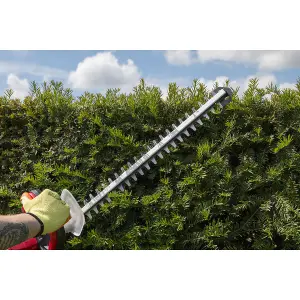 Sealey 520mm Hedge Trimmer Cordless 20V SV20 Series - Body Only CHT20V