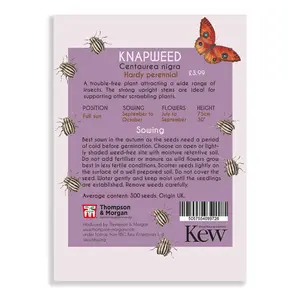 Knapweed Promo New Kew Range 1 Seed Packet