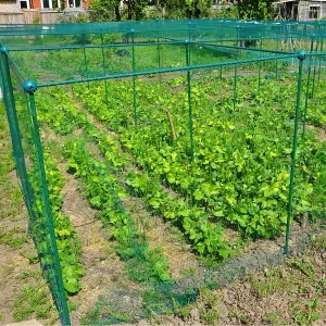 GardenSkill Grow House Fruit Vegetable Frame with Plant Protection Bird Netting 1 x 1.25m H