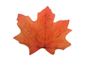 Best Artificial Loose Autumn Halloween Maple Leaves for Crafts Decoration - M9