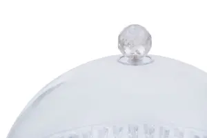 Interiors by Premier Clear Acrylic Cake Stand with Dome Lid, Elegant Glass Cake Stand And Dome Cover, Clear Acrylic Cake Holder