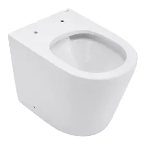 White Back to Wall Toilet Set Wall Mounted Elongated Toilet without Flush