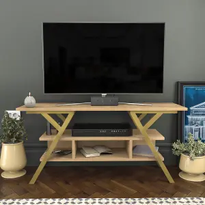 Decorotika Minerva TV Stand TV Unit for TV's up to 55 inch