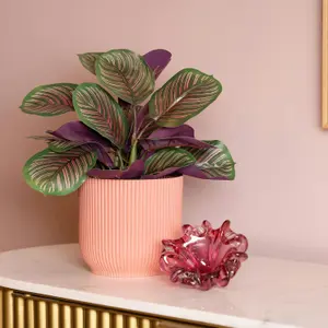 Blooming Artificial - 40cm / 1.25ft Faux Pinstripe Calathea