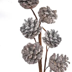 Decorations Silver Pine Cone Stem