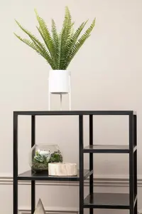 Fiori Fern with White Cement and Iron Pot Artificial Plant Foliage