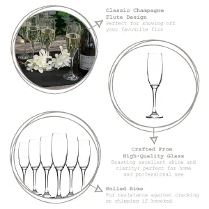 LAV - Venue Glass Champagne Flutes - 220ml - Pack of 6