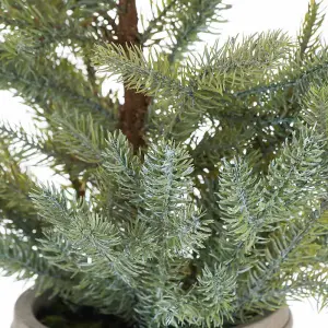 UK Homeliving Garda Pine Tree In Stone Pot