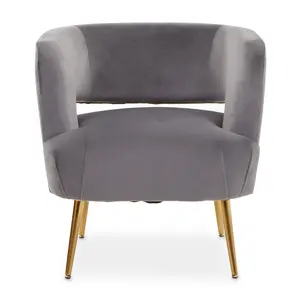 Interiors by Premier Grey Velvet Chair with Gold Finish Metal Legs, Backrest Dining Chair, Easy to Clean Armchair