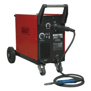 Professional Gas/Gasless MIG Welder with Euro Torch 170A