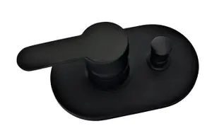 Mixer Valve Brass Internal Oval 2 Way Black Matt Concealed Shower