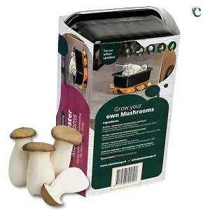 Mushroom Growing Kit King Oyster - Beginner Friendly Ready to Grow Educational Kit - Easy to Use Gardening Gift - Grow Your Own