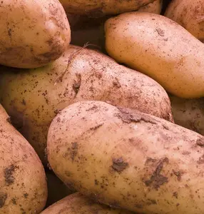 Grow Your Own Vegetables - Potato Must Have Collection 5kg