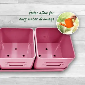 Pink Herb Pots for Kitchen Windowsill 3-Pack Indoor Planters with Leather Tray & Labels, Ideal for Fresh Herbs & Small Plants