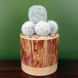 20cm Artificial Cactus Plant Arrangement in Ceramic Planter