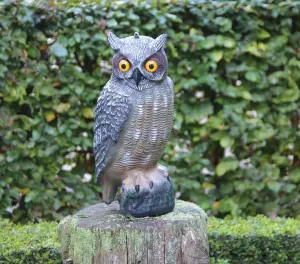 Primrose Owl Decoy Replica Bird Scarer 40cm