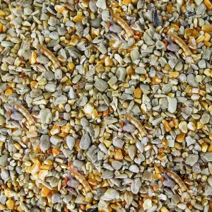 25kg SQUAWK Robin & Songbird Food - Protein Rich Wild Bird Seed Mix For Garden Birds