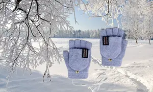 USB Touch Screen Winter Warm Flip Heated Gloves  blue