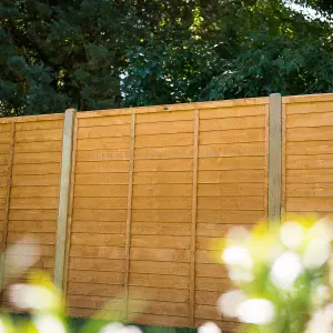 Forest Garden Traditional Overlap Dip treated 5ft Wooden Fence panel (W)1.83m (H)1.52m