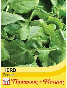 Rocket Seeds 1 Seed Packet (500 Seeds)