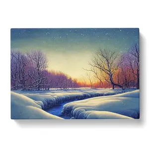 A Winter Forest Stream - Wrapped Canvas Print 40cm H x 60cm W x 3cm D