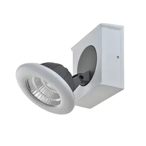 Luminosa Catalina Modern Single Spotlight LED, 3000K