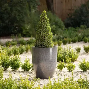 Primrose Tall Grey Round Planter with Optional Drainage Holes and Bung