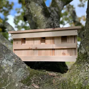 Sparrow Colony Terrace Wooden Nesting Box with Removable Nest Fronts