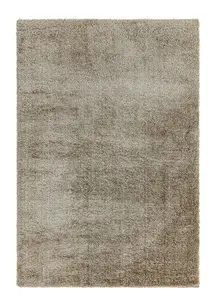 Mink Plain Luxurious Modern Shaggy Polyester Rug for Living Room and Bedroom-160cm X 230cm