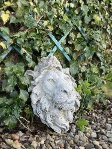 Lion Head Fountain Wall Plaque