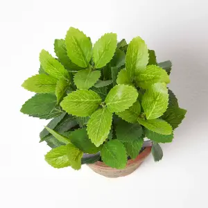 Homescapes Artificial Mint Plant in Decorative Pot