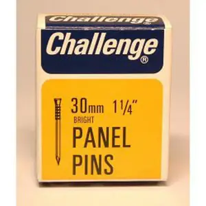 Challenge Steel Panel Pin Nails Silver (30mm)