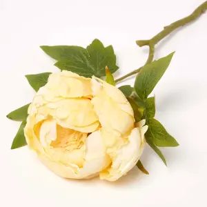 Homescapes Artificial Stem of Dried Yellow Peony Flowers, 48 cm