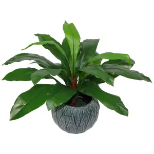 60cm Bushy Large Artificial Bird's Nest Fern Plant