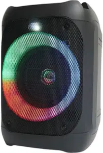 P100 Portable Bluetooth Speaker - Black, Black