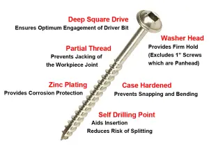 PHS-114FB Woodfox Fine Thread 1.25 Inch Pocket Hole Screw - Pack of 5000