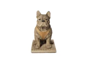 Pair of Life Size French Bulldog Statues