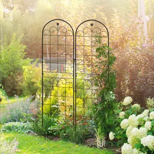 Outsunny Set of 2 Metal Trellis for Climbing Plants, Floral Design, 50 x 180cm