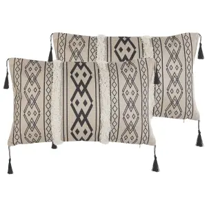 Set of 2 Cushions PULMONARIA 30 x 50 cm Geometric Beige