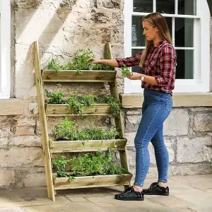 Zest 4 Tier Ladder Stepped Herb Stand Wooden Planter Garden Layered Planter