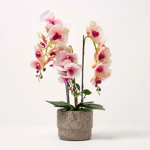 Homescapes Pink Orchid 64 cm Phalaenopsis in Cement Pot Extra Large, 3 Stems