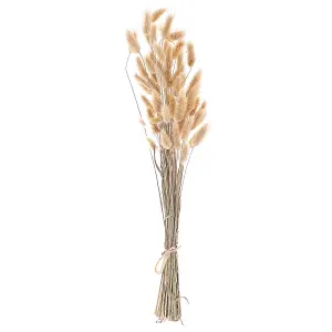 Dried Flower Bouquet SANABRIA Natural