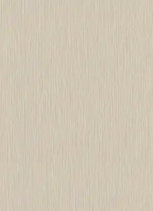 Plain Wallpaper 542402 beige Blown vinyl / non-woven