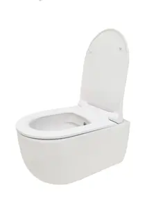 Top Ceramics White Round Wall Hung Rimless Combined Bidet Toilet with Soft Close Seat and 1.12m Cistern Frame