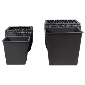 Set of 2 Plant Pots BERBERIS PE Rattan Black