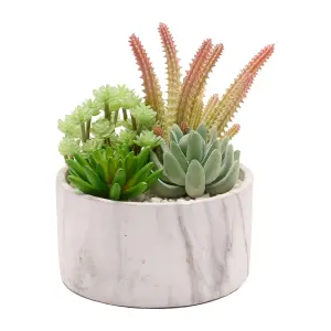 Artificial Succulent Plant in a Marble Effect Pot