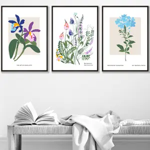 Set of 3 Framed Vintage Graphical Colourful Wild Flower Market / 30x42cm (A3) / Black